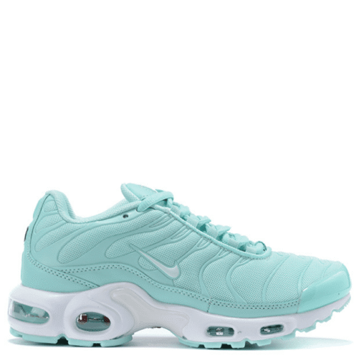 Air Max TN Plus Completed Aqua