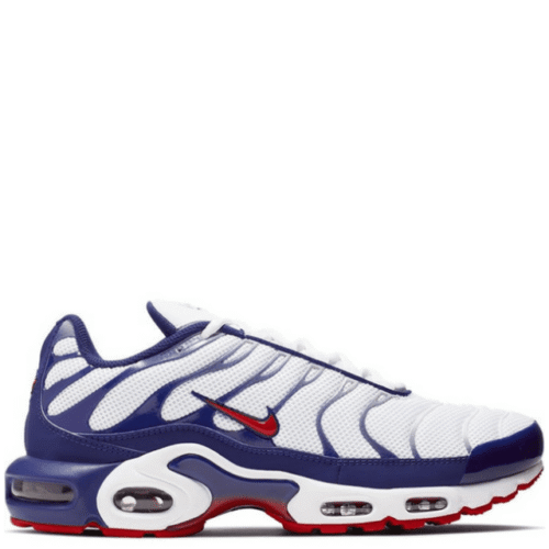 Air Max TN Plus WRB