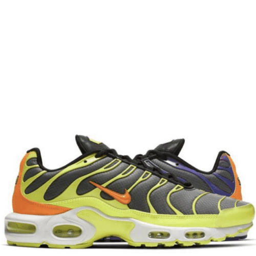 Air Max TN Plus ColorFlip