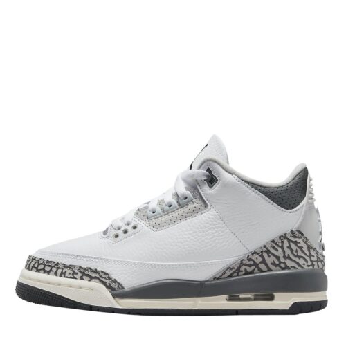Jordan 3 Hide N’ Sneak