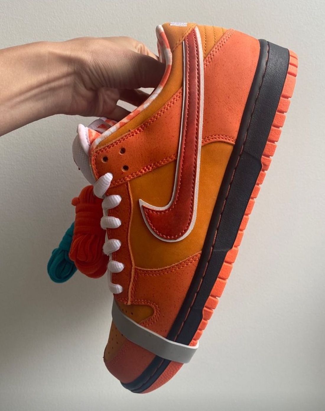Concepts x Nike SB Dunk Low Orange Lobster photo review