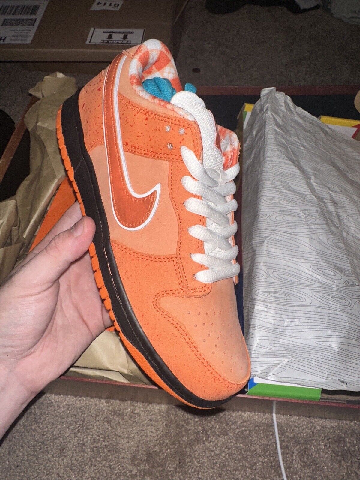 Concepts x Nike SB Dunk Low Orange Lobster photo review