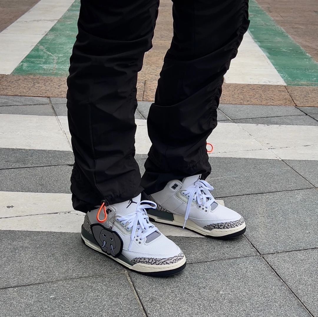 Jordan 3 Hide N’ Sneak photo review