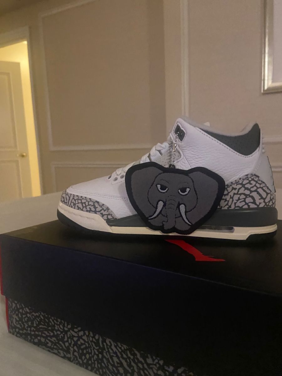 Jordan 3 Hide N’ Sneak photo review