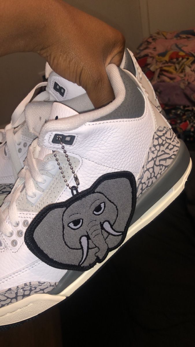 Jordan 3 Hide N’ Sneak photo review