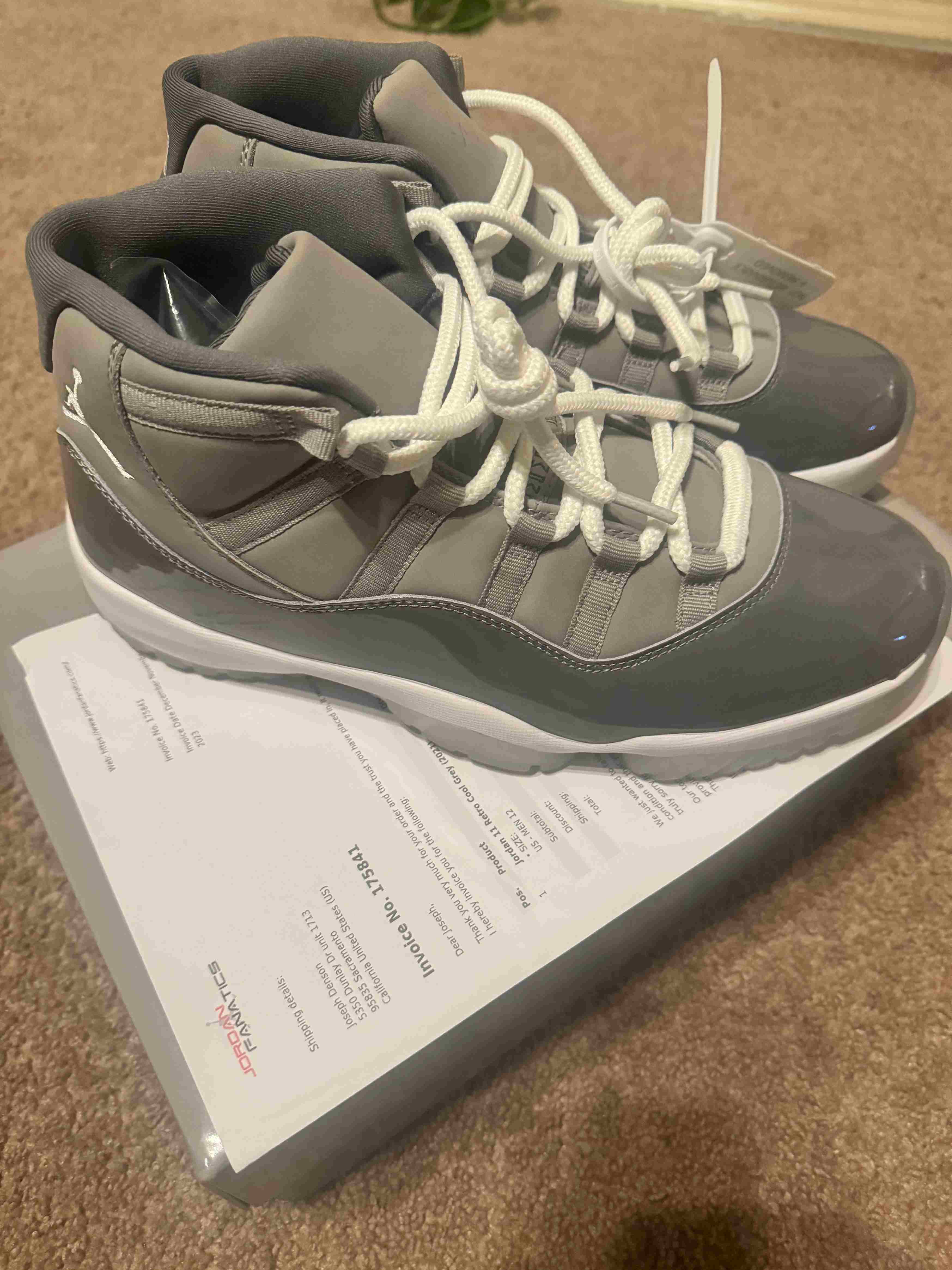 Jordan 11 Retro Cool Grey (2021) photo review