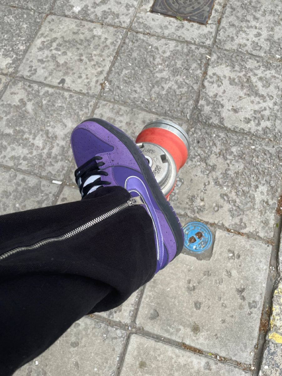 Concepts x Nike SB Dunk Low Purple Lobster photo review