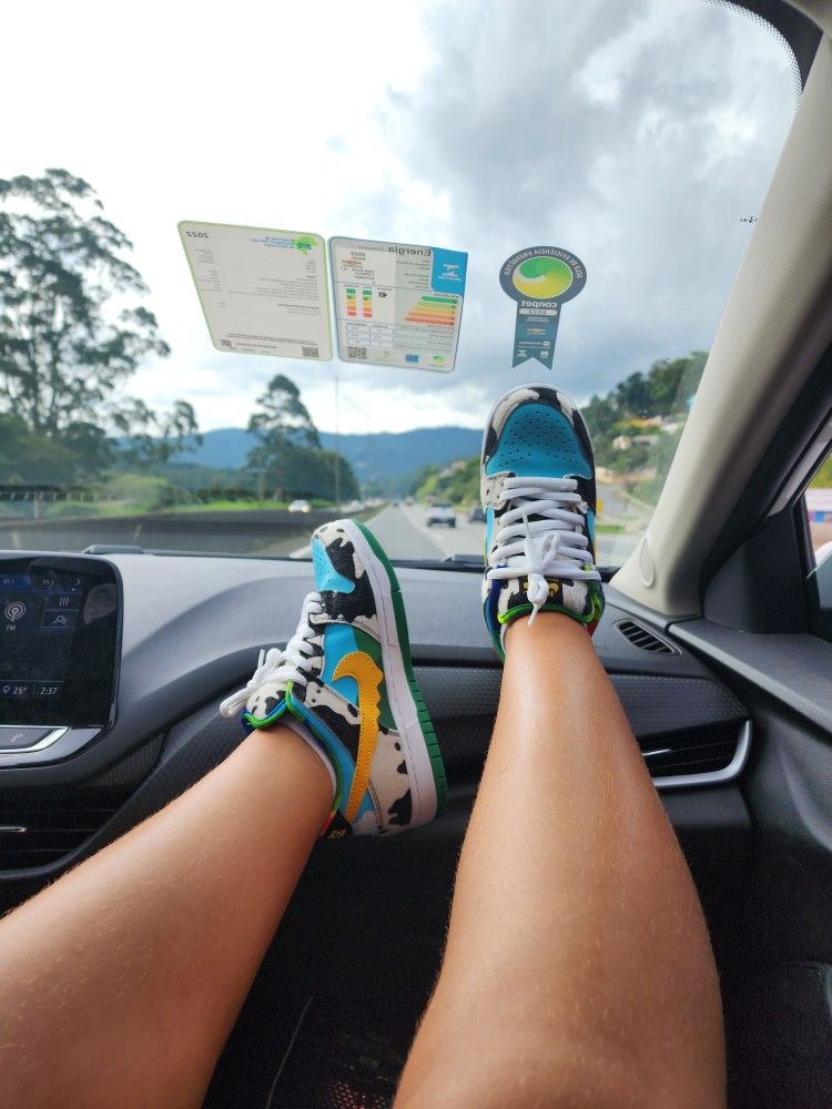 Nike SB Dunk Low Ben & Jerrys Chunky Dunky photo review