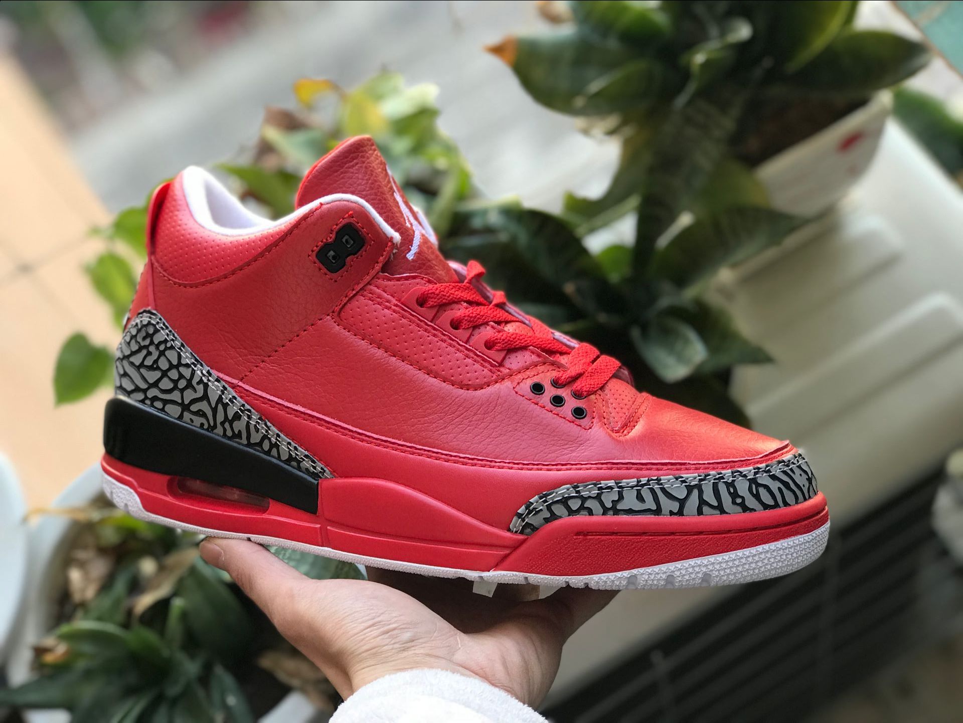 Jordan 3 Retro DJ Khaled Grateful photo review