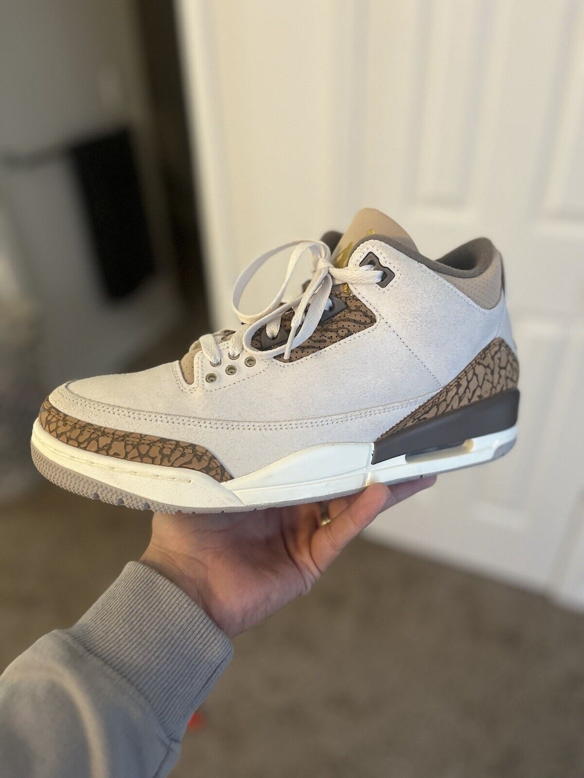 Jordan 3 Palomino photo review